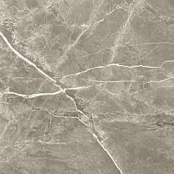 Prissmacer Fior Di Bosco Noce Коричневый Матовый Ректифицированный Керамогранит 60x60 см