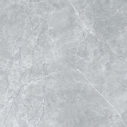 Керамическая плитка Absolut Gres Sena Grey Серый Матовый Керамогранит 60x60 см