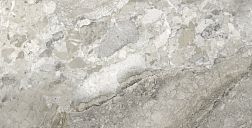 Museum Dreamy Mocha A BM EP Серый Полированный Керамогранит 75,5х151 см