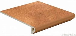 Керамическая плитка Westerwalder Klinker Montmarte WKS 31220 S Zimtbraun Ступень 31x32 см