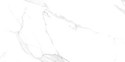 Belleza ORLANDO BIANCO (MIAMI BIANCO) (AUTHENTIC) Керамогранит 60х120