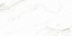 Керамическая плитка Absolut Gres Graphito white Белый Полированный Керамогранит 60x120 см