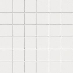 Ce.Si Full Body Fluoro Su Rete Мозаика 5х5 30х30 см