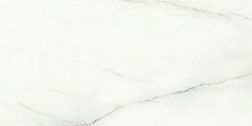 Laparet Voyage SG50002320R Blanco Белый Матовый Керамогранит 59,5х119,1 см