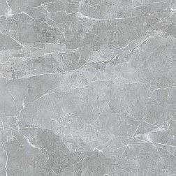 Керамическая плитка LV Granito Rs 161 Gris Endless Carving Керамогранит 60х60 см