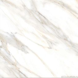 Керамическая плитка Absolut Gres Statuario Gold Белый Полированный Керамогранит 60x60 см