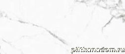 Керамическая плитка Art Ceramic Marshy White Glossy Белый Полированный Керамогранит 60х120 см