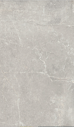 Baldocer Concept Pearl Серый Матовый Керамогранит 60x120 см