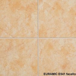 Керамическая плитка Stroeher Euramic Cavar E 541 Facello Базовая плитка 29,4х29,4 см