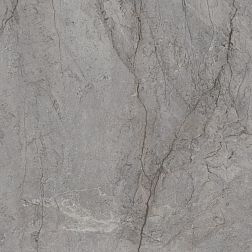 Керамическая плитка Paradyz Visioner Grey Gres Szkl. Rett Poler Серый Полированный Керамогранит 120x120 см