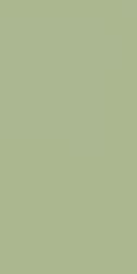Керамическая плитка Fakhar Monocolor Green Зеленый Матовый Керамогранит 60х120 см