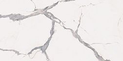 Керамическая плитка ABK Group Sensi Up PF60005735 Statuario Versilia Rett Белый Матовый Ректифицированный Керамогранит 60х120 см