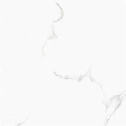 Керамическая плитка Sina 9057 Versace White Белый Матовый Керамогранит 60x60 см