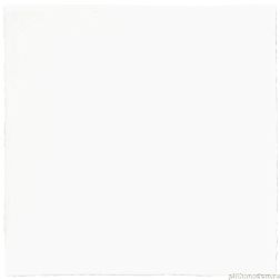 Керамическая плитка Monopole New Country White Настенная плитка 15х15 см