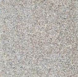 Куртинский гранит CSG-096-09 Серый Термообработанный Гранит 10x10x5 см