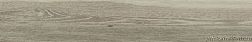 Baldocer Navora Miele Pulido Rectificado Керамогранит 20x120 см