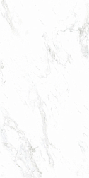 Керамическая плитка Monalisa tiles Marbles CBP5691M Белый Глянцевый Керамогранит 60х120 см