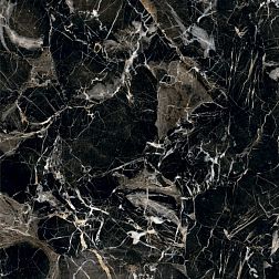 Керамическая плитка Arcadia Ceramica Anty Golden Black Черный Полированный Керамогранит 60x60 см