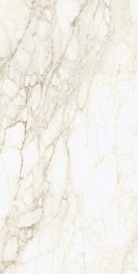 Керамическая плитка Coliseum Gres Michelangelo Ворм Керамогранит Рет 60х120 см