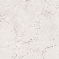 Керамическая плитка Flavour Granito Mural Grey Glossy Серый Полированный Керамогранит 60x60 см