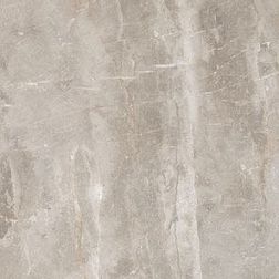 Lеopard Rock Carving Gris Керамогранит 60х60 см