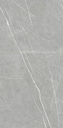 Керамическая плитка NT Ceramic Bright And Shiny BB612NTT9102 Серый Полированный Ректифицированный Керамогранит 60х120 см