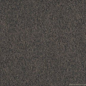 Tarkett Galaxy Light 39586 Ковровая плитка 0,5х0,5