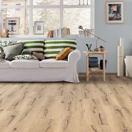 Tritty 100 Campus 4V