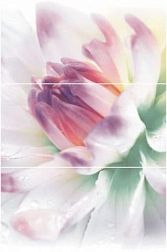 Polcolorit Elixir Dali Панно (из 3-х плиток) 30х60 см