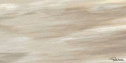 Керамическая плитка Roberto Cavalli Tanduk CONCHIGLIA RETT FIRMA Декор 60x120 см
