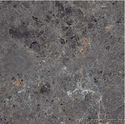 Staro Oasis Scorpian Natural High Gloss Керамогранит 60х60