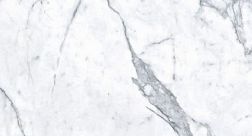 Zodiac Ceramica Statuario Venatino Белый Глянцевый Керамогранит 120x260 см