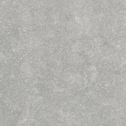 Alpas Euro Outdoor Fossil Gris 20 mm Серый Матовый Керамогранит 60х60 см