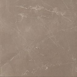 Керамическая плитка Casalgrande Padana Kontinua Marmoker Pulpis Tortora Naturale Керамогранит 118х118 см