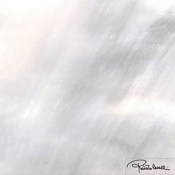 Керамическая плитка Roberto Cavalli Tanduk GRIGIO LAPP RETT FIRMA Декор 60x60 см