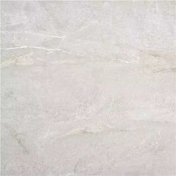 Керамическая плитка Stylnul (STN Ceramica) Eastriver Pearl Серый Матовый Ректифицированный Керамогранит 60х60 см