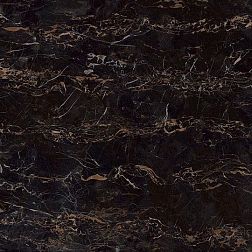 FMG Maxfine Marmi Portoro Lucidato SQ Керамогранит 150х150 см