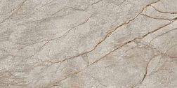 Керамическая плитка Atlas Concorde Russia Empire Silver Root Rett Керамогранит 60x120 Lapp (610015000618) см