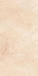 Керамическая плитка Fakhar Trust Cream Бежевый Глянцевый Керамогранит 50x100 см