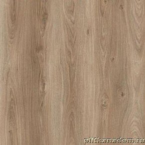 Kastamonu Sunfloor 8 04 Дуб Корабельный Ламинат 1380x195x8