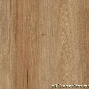 Kastamonu Sunfloor 8 03 Дуб Бенгальский Ламинат 1380x195x8