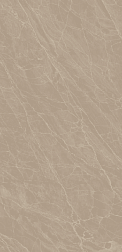 Flavour Granito Newport Beige Carving Коричневый Матовый Керамогранит 60x120 см