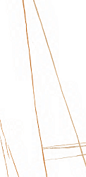 Керамическая плитка Flavour Granito Sahara Gold Glossy Белый Полированный Керамогранит 60x120 см