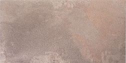 Керамическая плитка Casalgrande Padana Amazzonia Naturale Dragon Brown Керамогранит 45х90 см