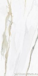 Tau Ceramica Emporio Calacatta Pulido Керамогранит 60x120 см
