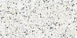 Alma Ceramica GFA114TRZ07L керамогранит лаппатированный Terrazzo 57x114x8,5