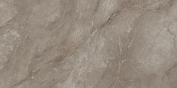 Керамическая плитка Neodom Supernova Orobico Brown Polished Коричневый Полированный Керамогранит 80x160 см