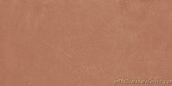 Керамическая плитка APE Ceramicas Argillae Coral Rect. A037687 Керамогранит 30x60 см