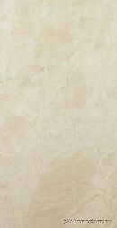 Finezza Коллекция №13 GQIP62017 Настенная плитка 60x30 см