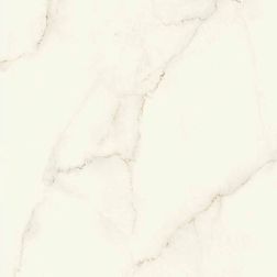 Керамическая плитка Atlas Concorde Marvel X Calacatta Apuano Lappato Керамогранит 120x120 см